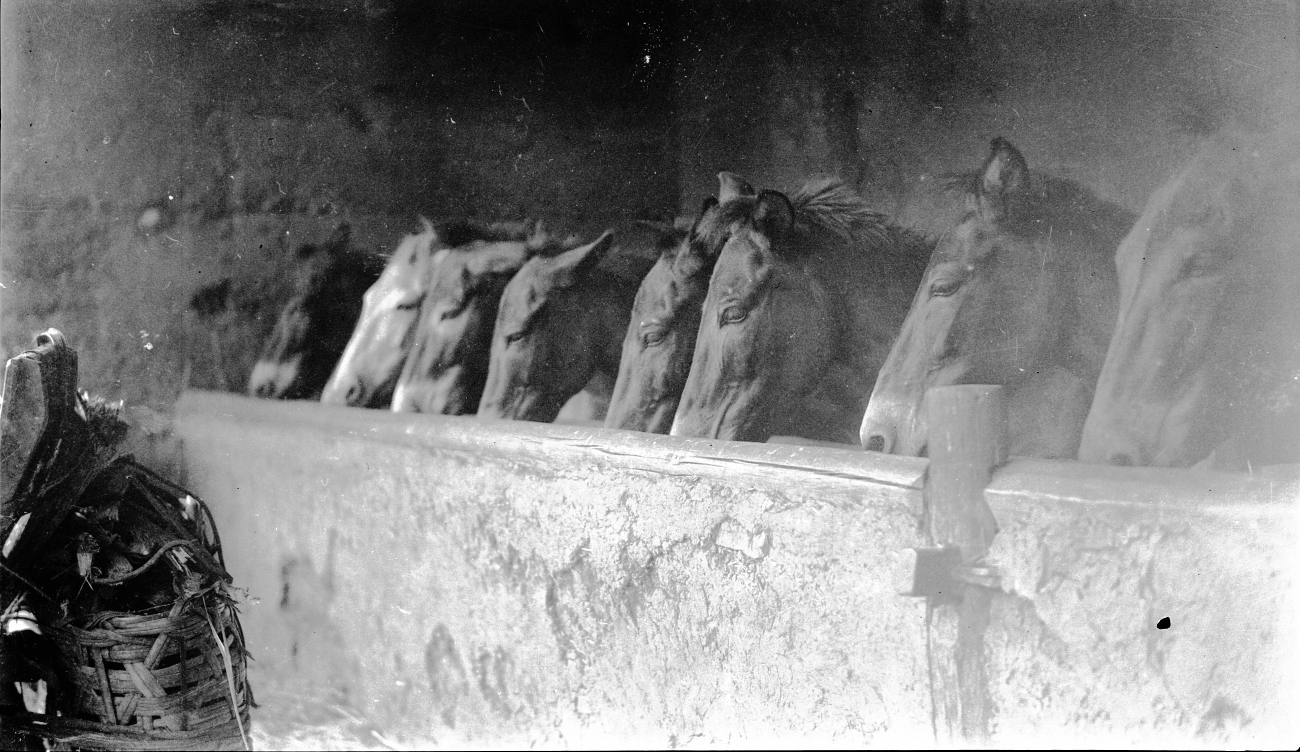 Picture of the Stabling for the mules