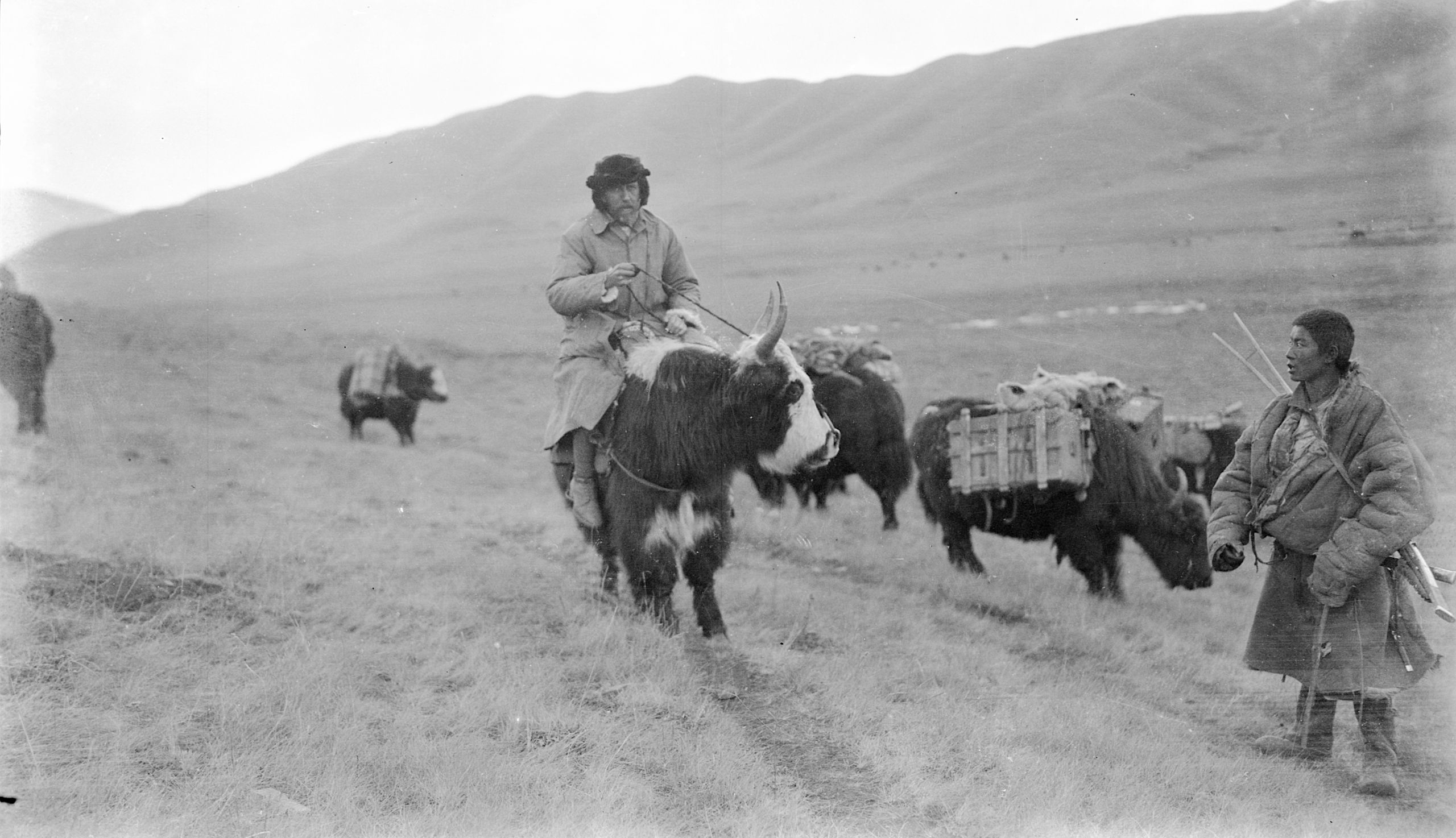 Picture of Dr HG Thompson riding a Yak