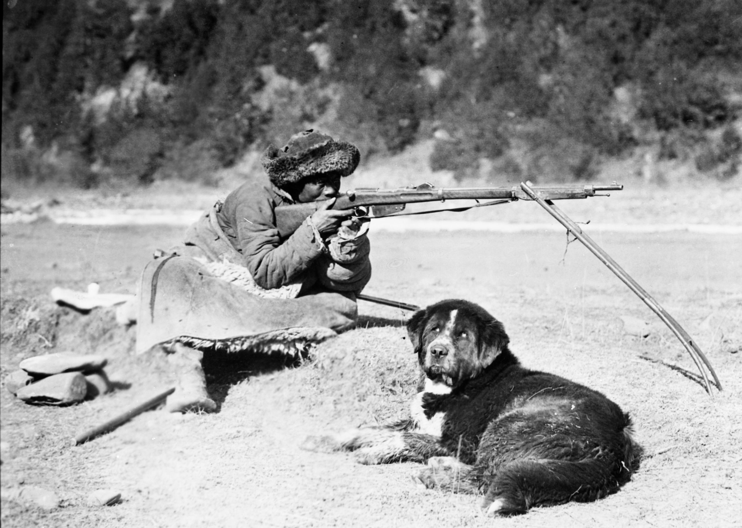 Picture of Tibetan nomad with his dog and gun with a biped gun res