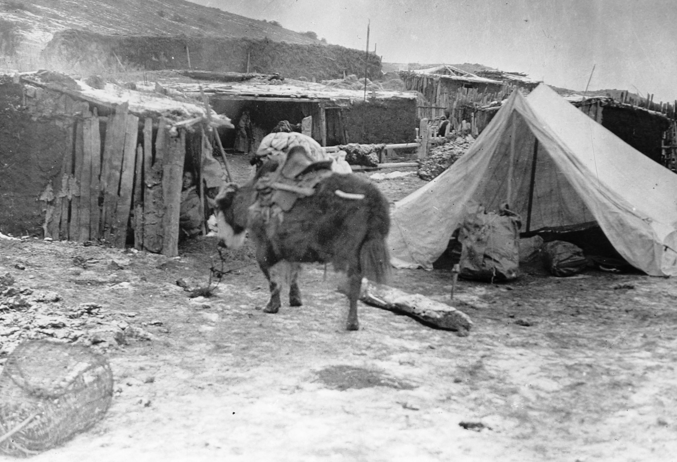 Picture of HGT's tent in the Tibetan village of Chong Koh Rien Keh