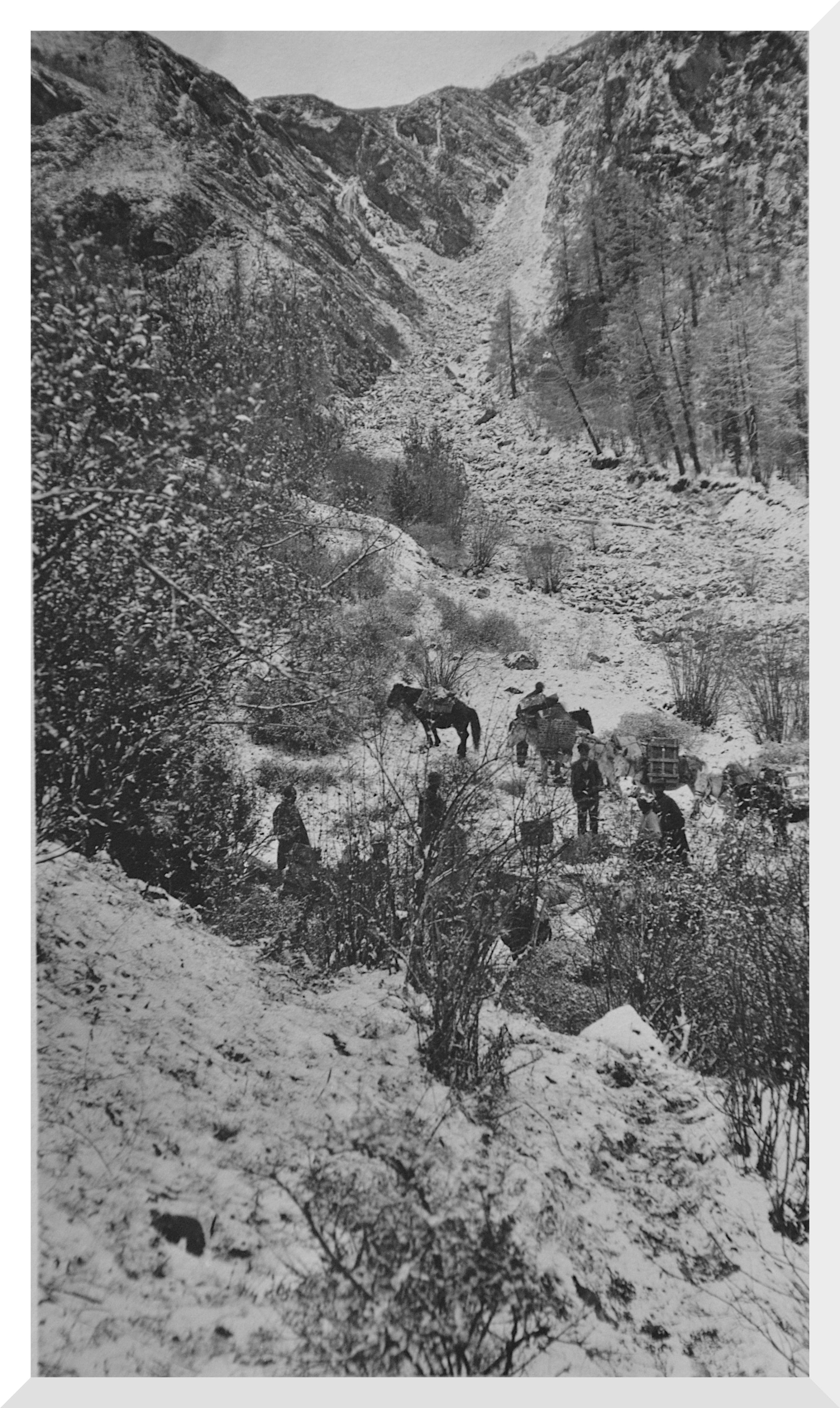 Picture of setting up the Campsite at the foot of Kung-rung-la mountain