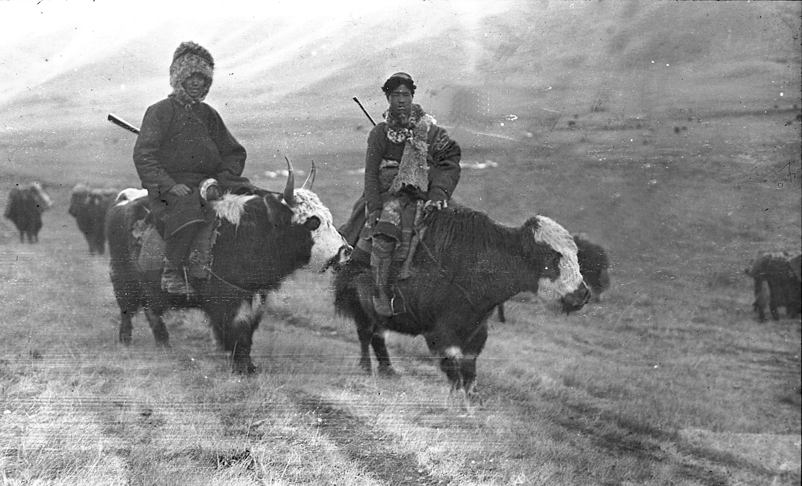 Picture of The young Chinese "boy" and Tibetan "boy" on their yaks